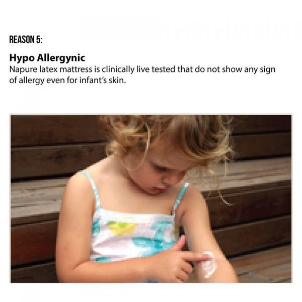 hypo allergynic